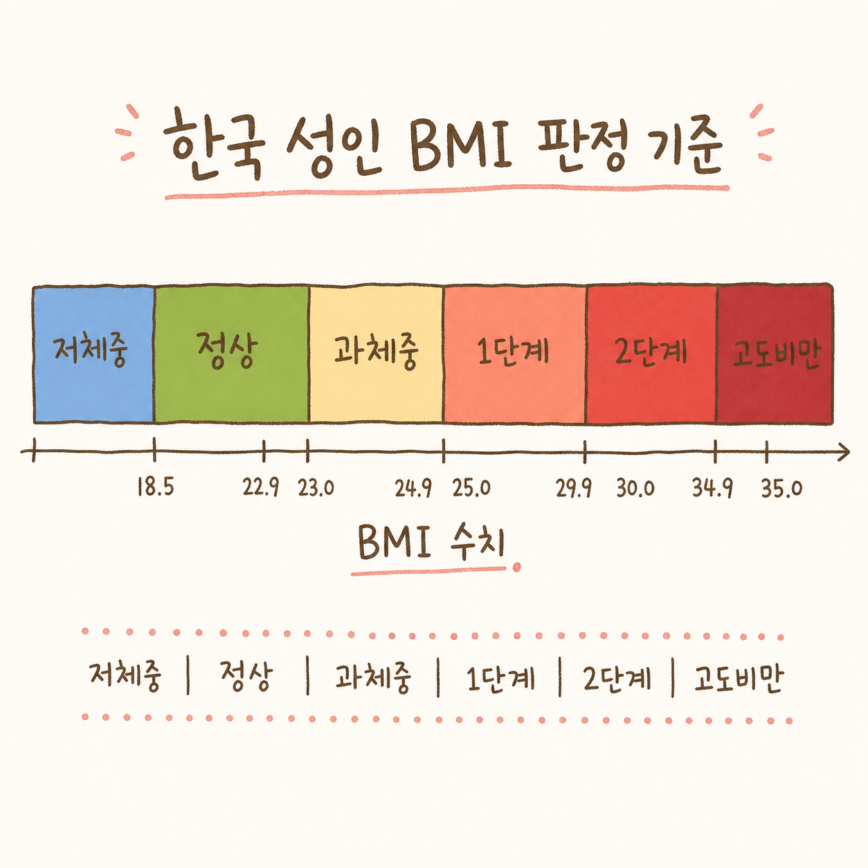 BMI 판정 기준을 한눈에 보는 수평 막대 차트 또는 범위 그래프. 저체중(파랑)→정상(초록)→비만 전단계(노랑)→1단계 비만(주황)→2단계(빨강)→3단계 고도비만(진한 빨강) 색