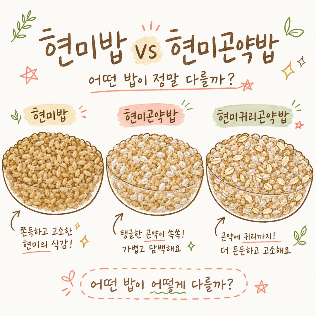 玄米飯、玄米蒟蒻飯、玄米燕麥蒟蒻飯，有什麼不同？