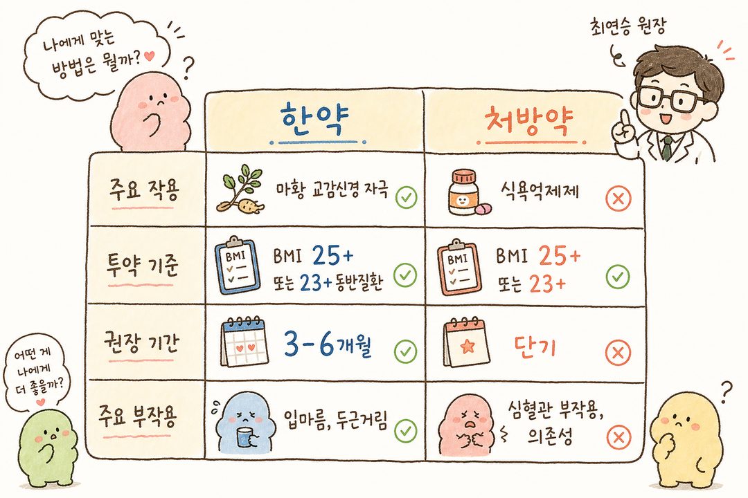 2행×4열 비교표. 상단 헤더 행에 '한약' '처방약', 하단 행에 '주요 작용' '투약 기준' '권장 기간' '주요 부작용' 항목별 핵심 내용. 파란색과 주황색으로 구분되고 각 