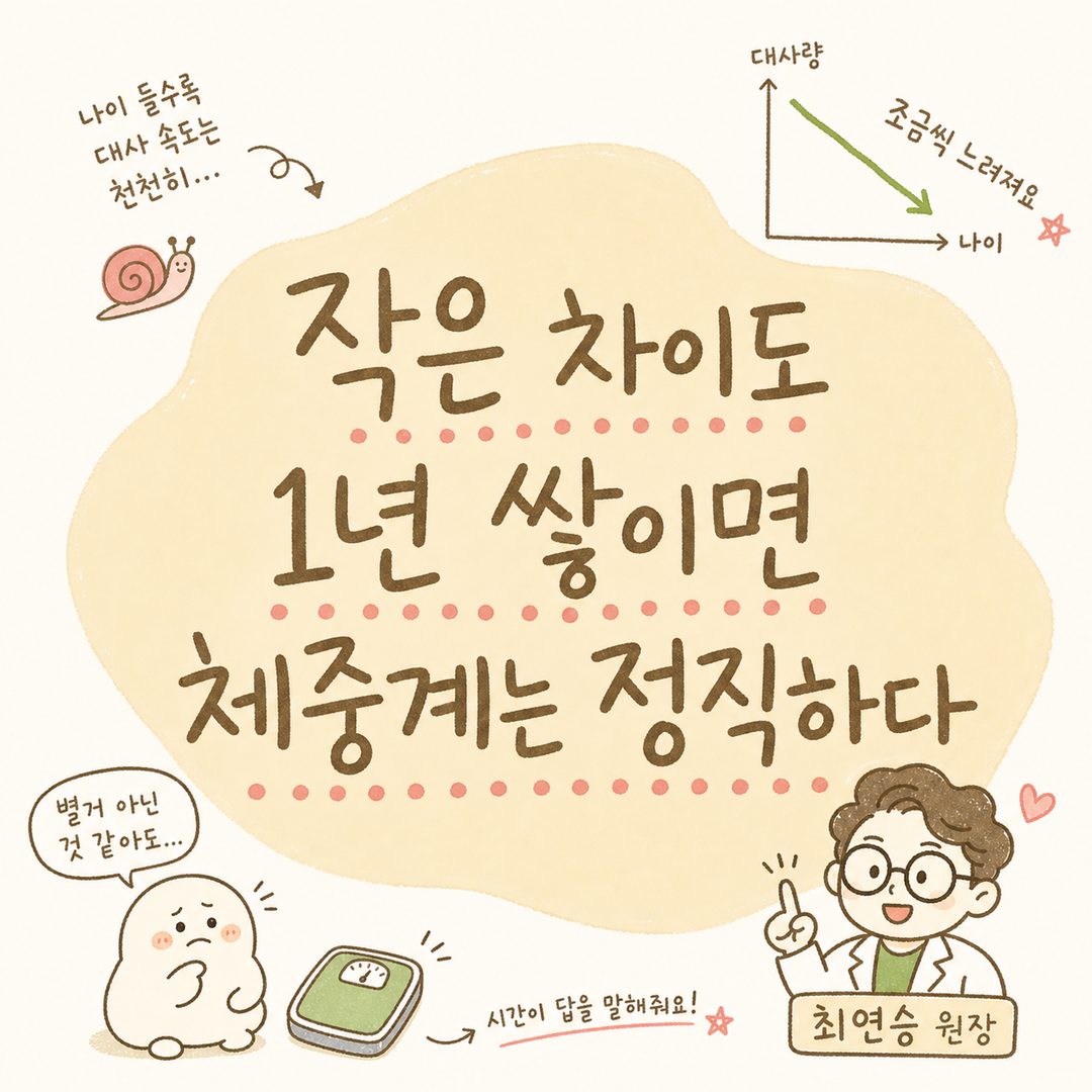 粗体核心信息居中,背景配有浅色强调框。通过文字表现视觉冲击力,强调随着年龄增长代谢下降的自然趋势。