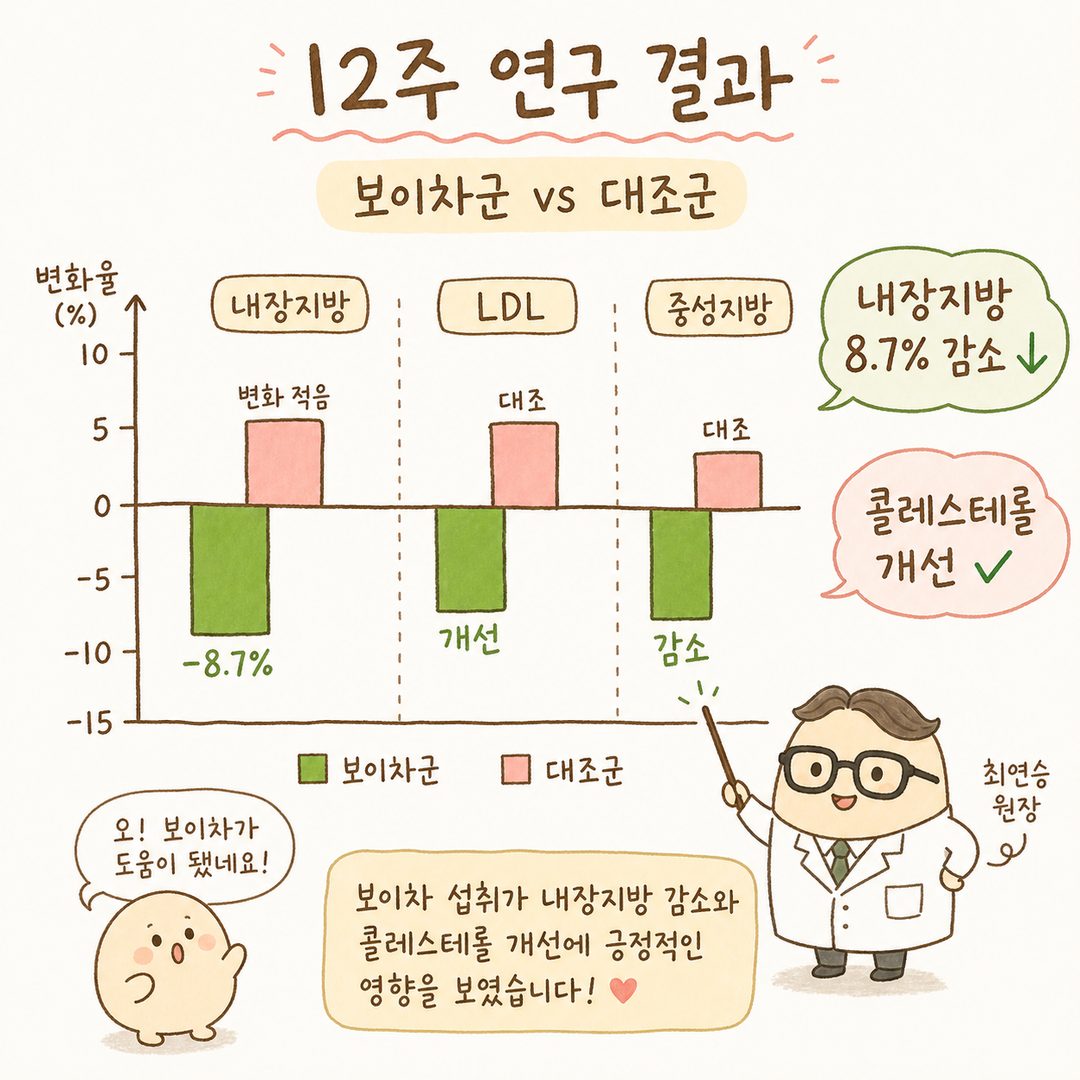 12주 연구 결과를 나타내는 이중 막대 그래프. 보이차 추출물 + 식단 조절 그룹과 대조군을 좌우로 배치하여 내장지방 감소량(8.7%), LDL 콜레스테롤, 중성지방 변화를 시각적