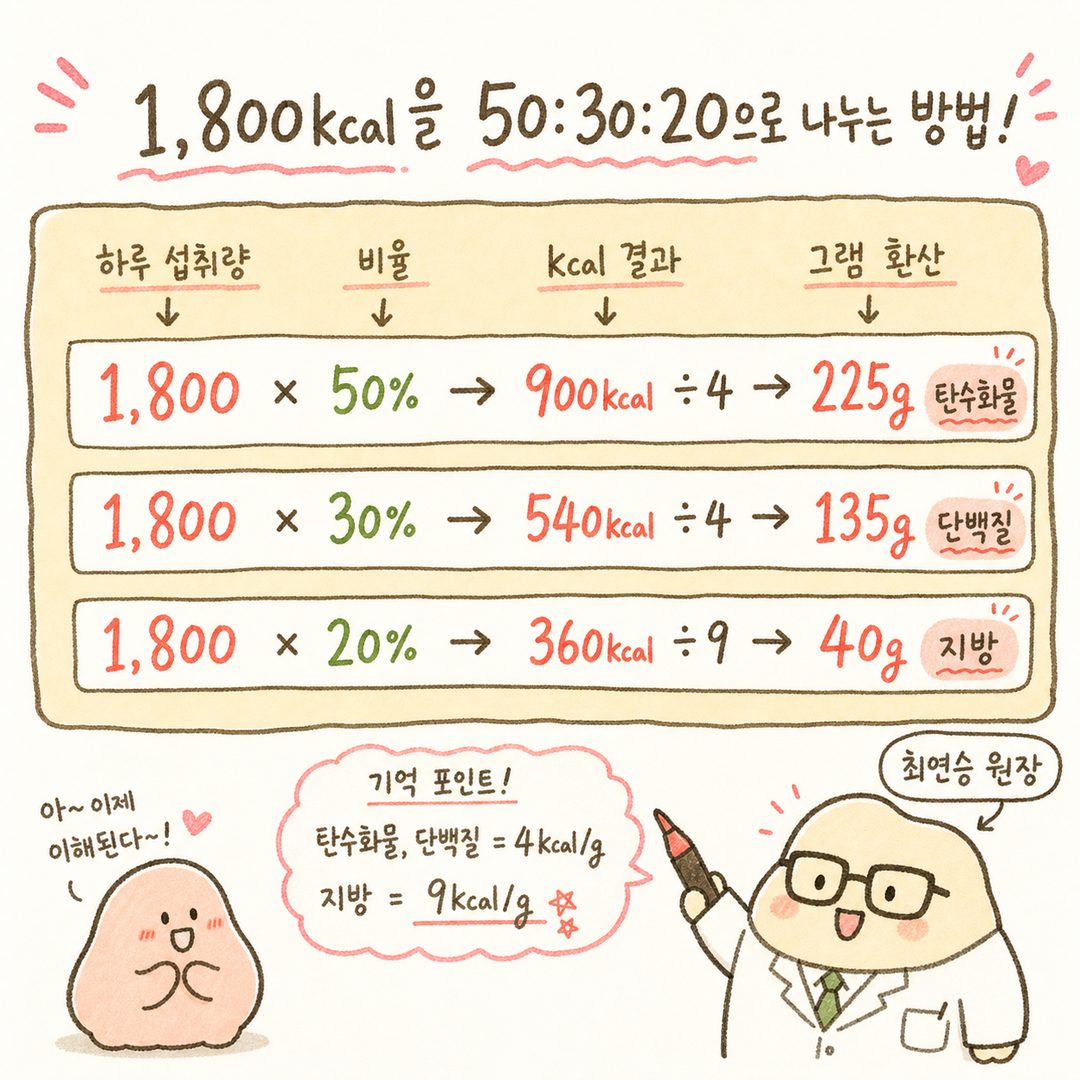 將每日 1,800kcal 按 50:30:20 分配的公式步驟圖。包含熱量計算(×比例) → kcal 結果 → 公克換算(÷kcal/g)的過程箭頭