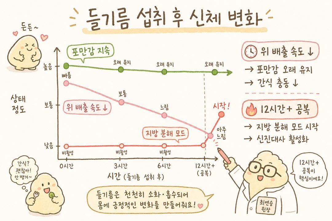 以折線圖表現攝取紫蘇油後的新陳代謝與飽足感變化。視覺化呈現不同時段的胃排空速度、飽足感持續時間，以及空腹 12 小時後脂肪分解模式的活化情況