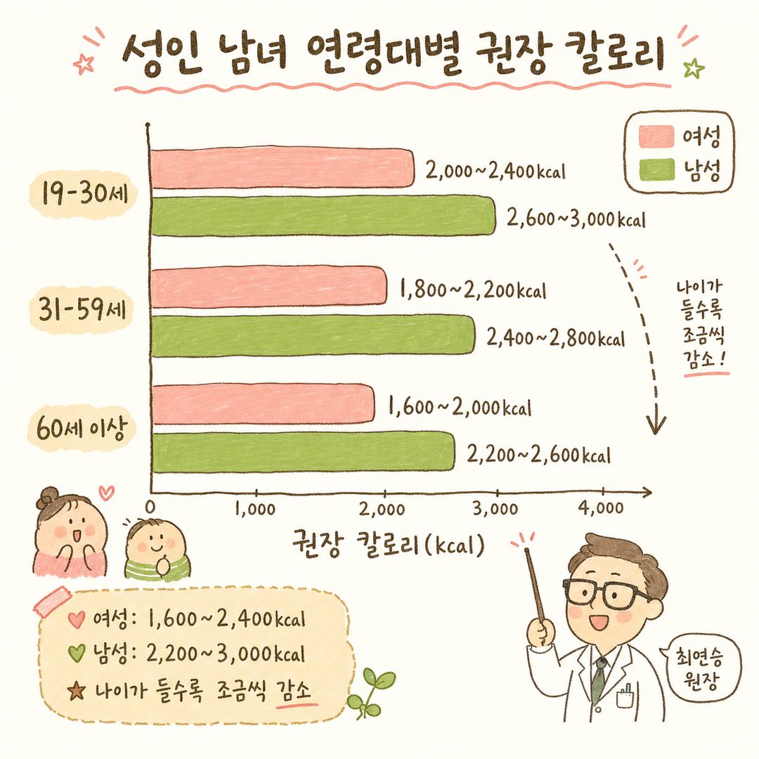 연령대별·성별 칼로리 권장량을 보여주는 막대형 차트. 여성과 남성을 색깔로 구분하고(예: 분홍색·파란색), 각 연령대(19-30세/31-59세/60세 이상)별 권장 칼로리 범위를